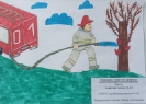 10 лет, Пожарник - защитник природы, МБОУ Старобелокурихинская СОШ, Сомова Л.А