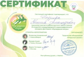 Сертификат 001111