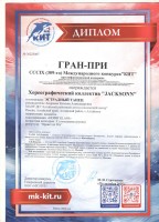 Дипломы 2025 — 2026 учебный год