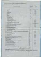Диплом приложение 2 стр