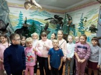 Зал природы