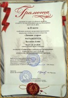 Мун. Зимние узоры 2 место Буслаева А
