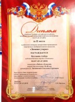 Муниц. Зимние узоры 2 место Буслаева