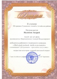 Налимов Андрей Диплом II степени