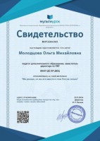 Свидетельство Мы разные но мы все вместе и этим Россия сильна 
