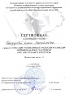 сертификат участие в форуме 2019 год 001
