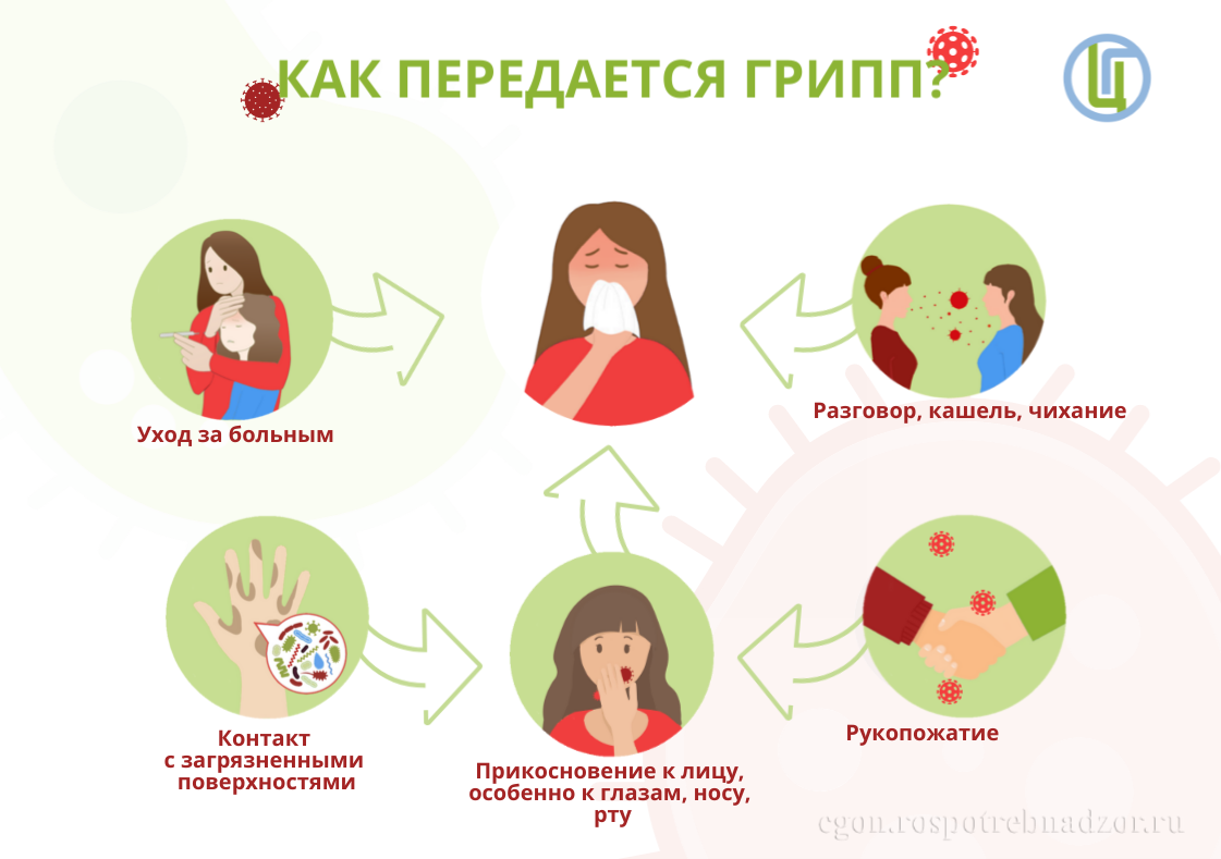 О профилактике гриппа, ОРВИ и COVID-19