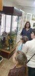 Программа «Каникулы»