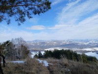 Программа Каникулы