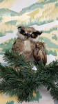 Программа Каникулы