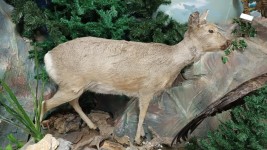 Программа Каникулы