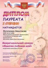 Пугаченко А Диплом